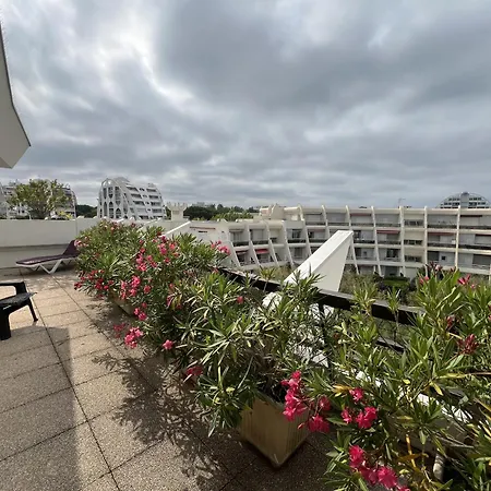 Sol-y-days Flamants Roses, Grande Terrasse Et Piscine Apartment